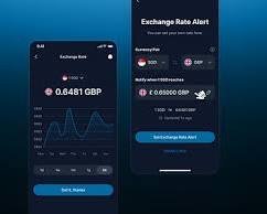 Investment Currency Calculator